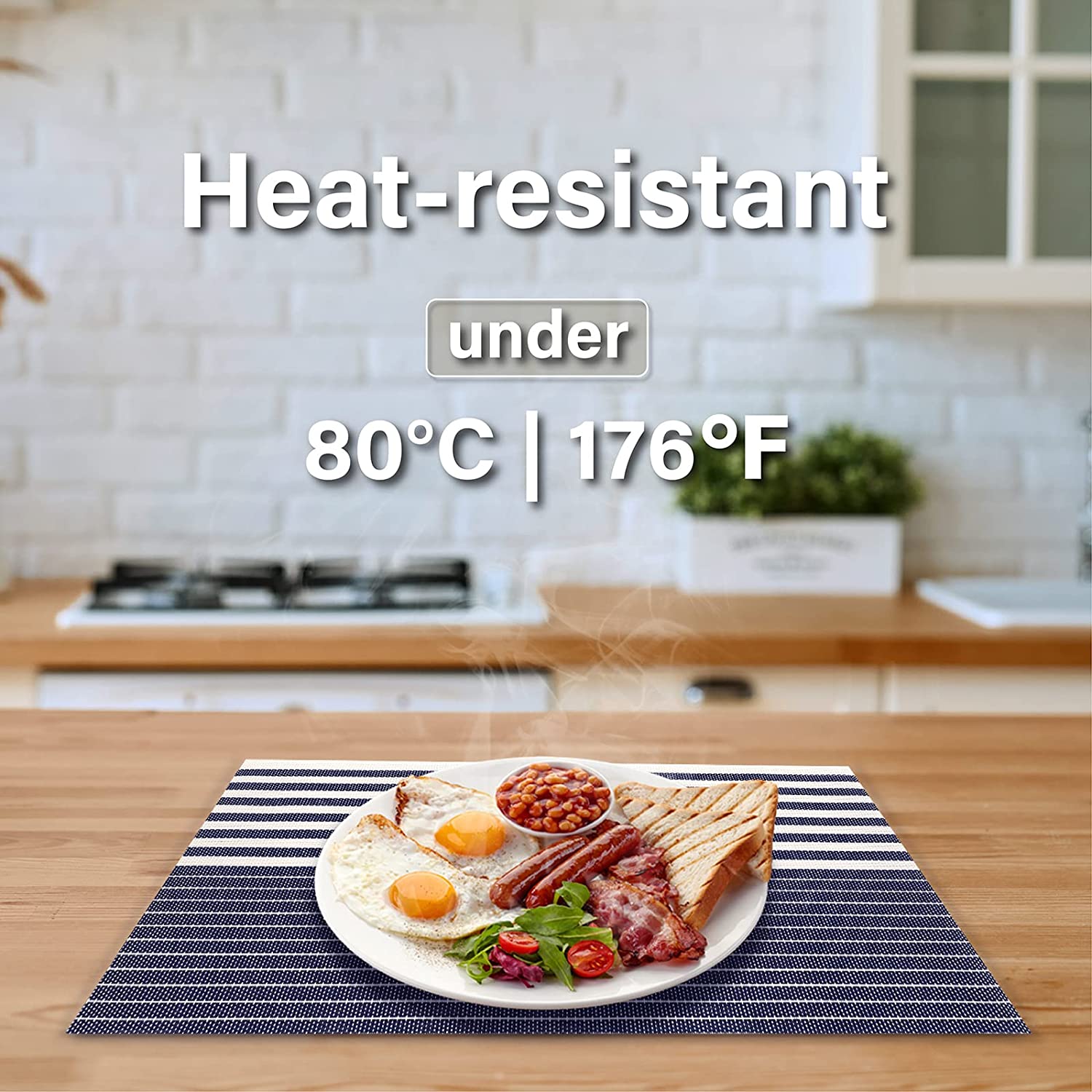 Vinyl Heat Resistant Placemats